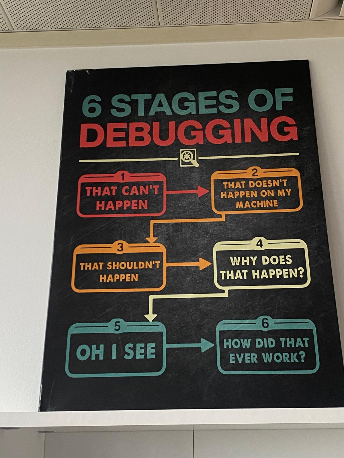 Software debugging poster